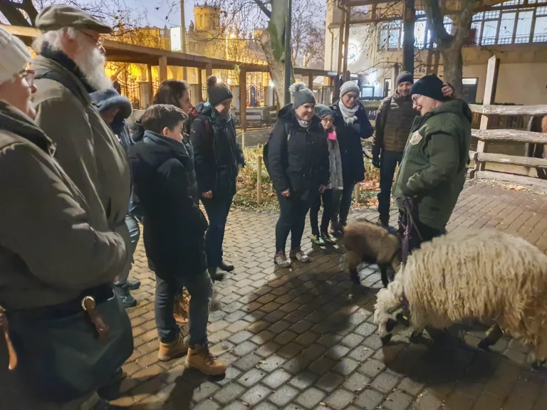 Esti Séták az Állatkertben - 2022. december 15. érkezés